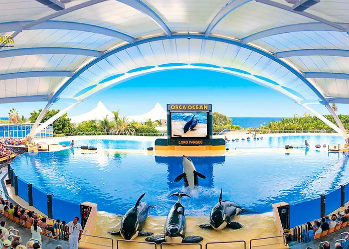 호텔 Adonis Capital 2*