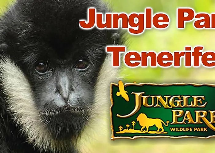 호텔 Adonis Capital 2*