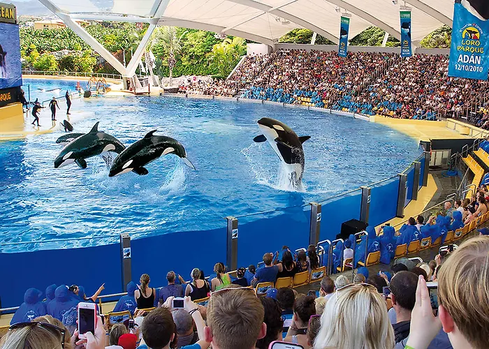 Adonis Capital Szálloda Santa Cruz de Tenerife