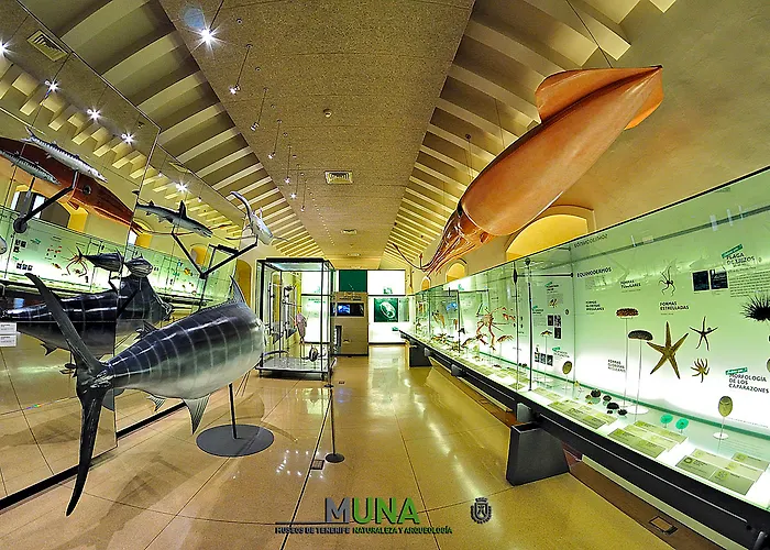 Отель Adonis Capital